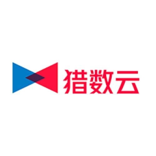 浙江獵數信息科技 數字化浪潮中的創新力量